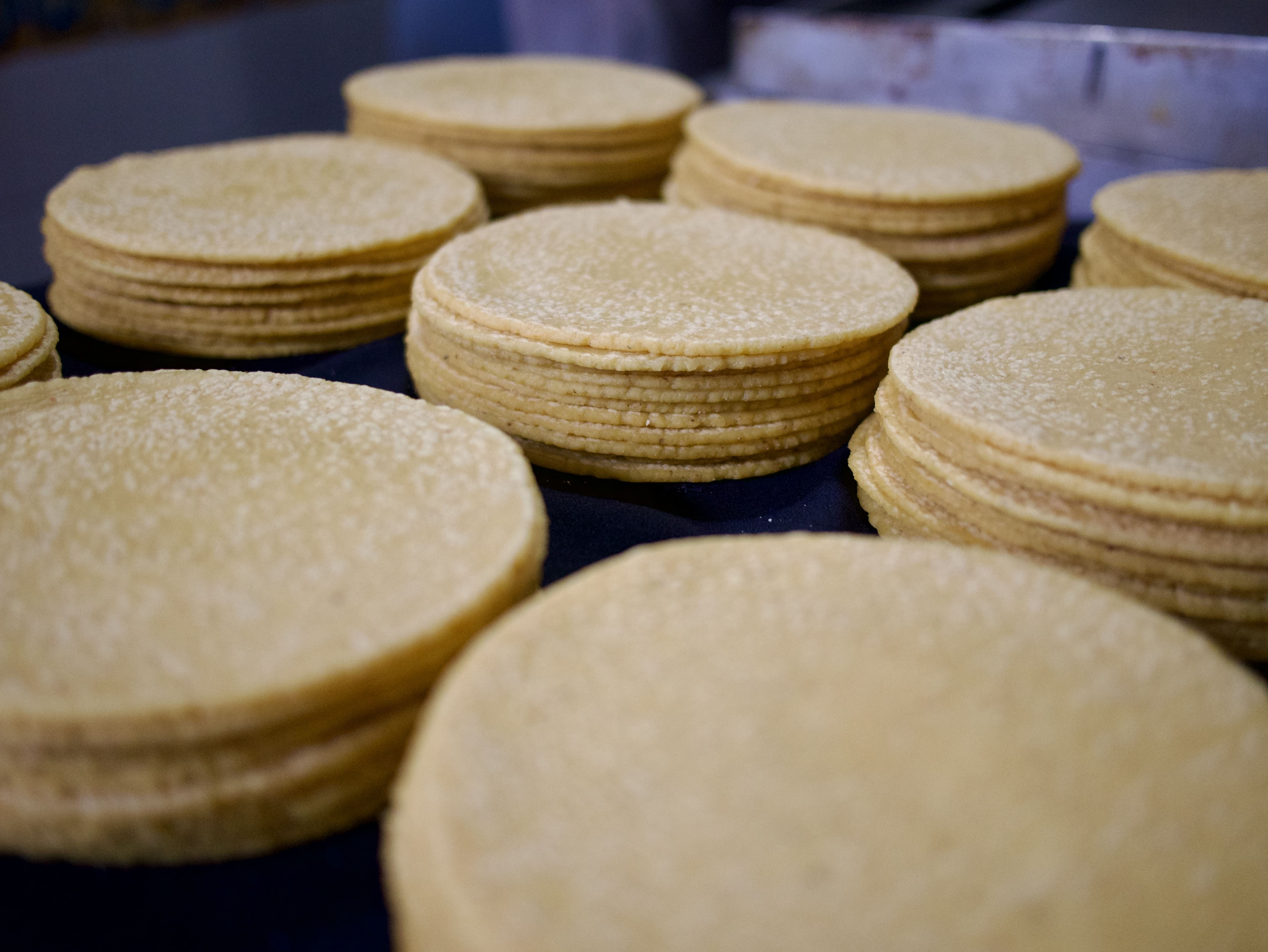 Homemade Tortillas Photo